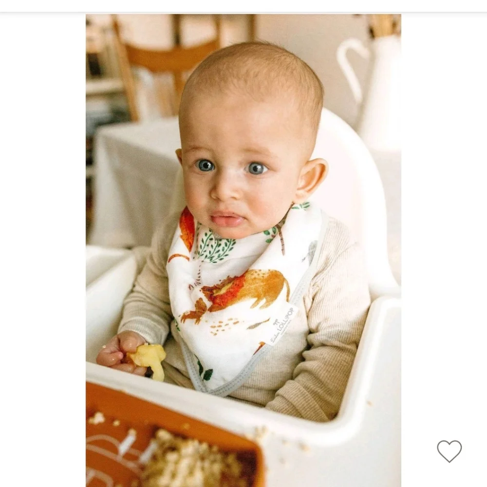 Loulou Lollipop 2pk Muslin Bandana Bib Set
